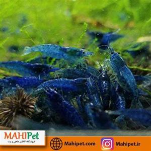 پک میگو آبی 1-1.5 سانت (5 عددی)
