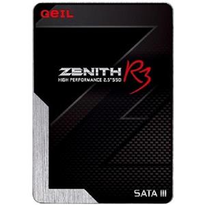 اس اس دی اینترنال جیل مدل Zenith R3 ظرفیت 120 گیگابایت