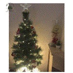 درخت کریسمس سوزنی  90 سانتی متر کد 16