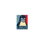 استیکر لپ تاپ لولو طرح LINUX برنامه نویسی کد 679
