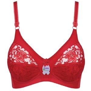 سوتین زنانه ابرو مدل بدون فنر گیپوری