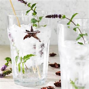 لیوان پاشاباغچه مدل کازابلانکا Casablanca کد 52708 