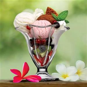 بستنی خوری پاشاباغچه مدل کانادا کد 51078