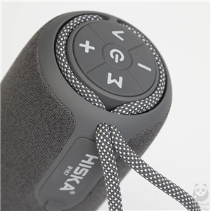 اسپیکر بلوتوثی قابل حمل هیسکا مدل B167