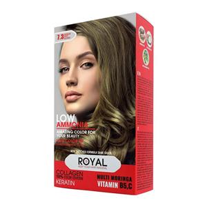 کیت رنگ مو رویال شماره 7.3 حجم 100 میلی لیتر رنگ بلوند زیتونی