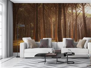 پوستر دیواری طرح جنگل W10059700