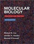 کتاب Molecular Biology: Principles and Practice – 2016 نشر W. H. Freeman