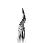 Upper Roots Forceps