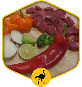 گوشت قیمه ای شترمرغ دارا 500 گرم