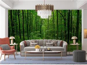 پوستر دیواری جنگل طبیعت  13011500