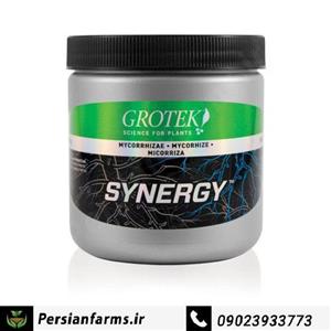 کود گیاهی بایوبیز Synergy 140 g