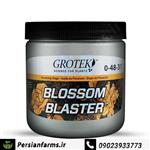 کود گیاهی بایوبیز Blossom Blaster 500 ml