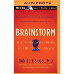 کتاب Brainstorm اثر Daniel J. Siegel انتشارات Brilliance