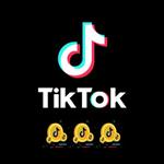 سکه تیک تاک | TikTok