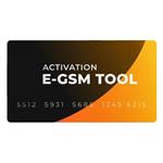 اکتیویشن 1 ساله E-GSM Tool