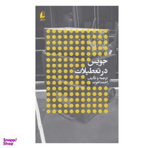 کتاب جویس در تعطیلات اثر احمد اخوت نشر افق