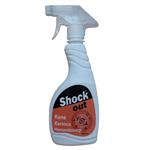 اسپری سوسک کش شوک مدل Shock450 حجم 450 میلی لیتر