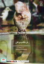 کتاب در مکتب مرغان - اثر آذر رستگار - نشر زرین اندیشمند