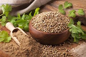 تخم گشنیز نرم