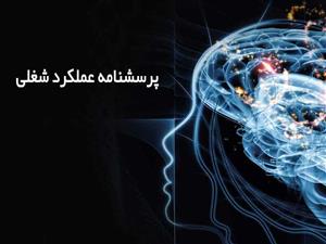 فایل پرسشنامه عملکرد شغلى