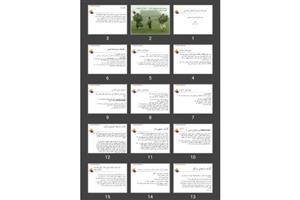 پاورپوینت سیستم ارت و ارت سنجی