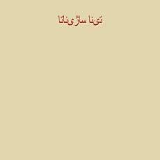 پاورپوینت تینا ساژیناتا