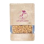 تخمه کدو گوشتی بادوم قرمز نمکدون - 500 گرم