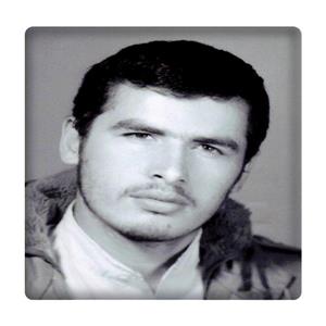 کاشی مدل شهید پلارک km10 کد 408