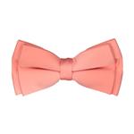 Patron 1723138 Bow Tie For Men