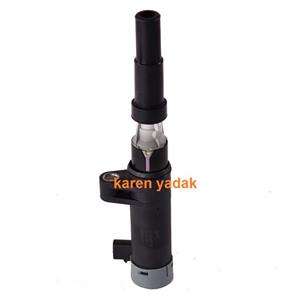 کویل شرکتی رنو