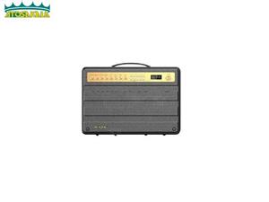 اسپیکر بلوتوث دبلیو کینگ W-KING K6S توان 100 رم و فلش خور با میکروفون