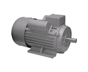 الکتروموتور تکفاز 1.5 اسب بخار ایمر مدل YC90L2-4