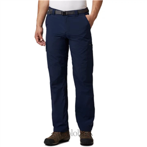 شلوار طبیعت گردی مردانه کلمبیا مدل Columbia Silver Ridge Cargo Pant AM8007-464 