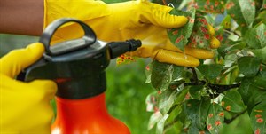 پاورپوینت مدیریت بیماری های گیاهی
