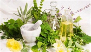 پاورپوینت کاربرد گیاهان دارویی