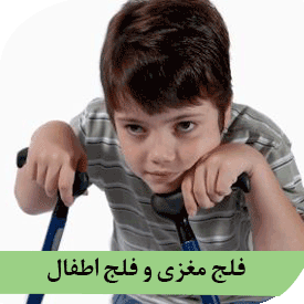 پاورپوینت فلج مغزی  Cerebrd Palsy