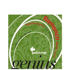 سیم گیتار فلامنکو گالی مدل GR105