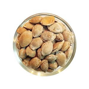 هسته زردآلو با پوست شور حجم 1 کیلوگرم