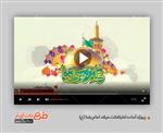 پروژه آماده افترافکت میلاد امام رضا (ع) 3442190