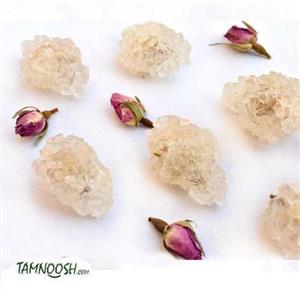 نبات  گل رز  tamnoosh 30 عددی 