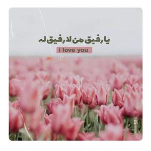 کاشی مدل رفیق من لا رفیق