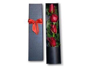 باکس خوابیده گل رز قرمز کد 36/61