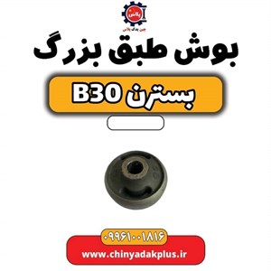 بوش طبق بزرگ بسترن B30