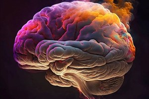 پاورپوینت دستگاه عصبی مغز و نخاع