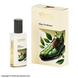 خوشبو کننده کفش مردانه 60 سی سی عطرینه