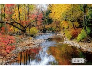 نخ و نقشه تابلو فرش دستبافت طرح منظره پاییزی – کد NV732