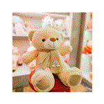عروسک پلیشی خرس شال دار رنگین کمان 50 سانتی کد 574