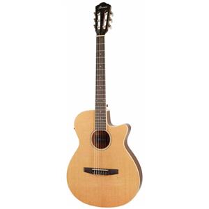 گیتار کلاسیک آیبانز IBANEZ AEG7TN-NT