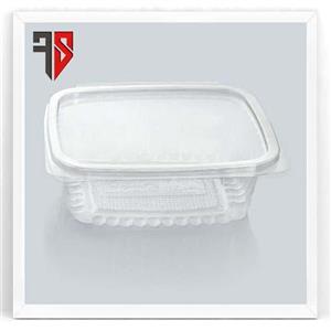 ظرف دلی 500 پرشیا