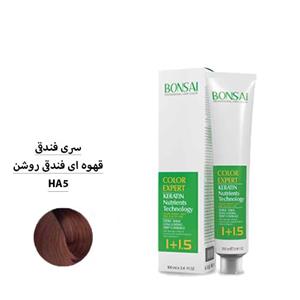 رنگ مو بن سای سری فندقی شماره HA5 قهوه ای فندقی روشن حجم 100 ml 